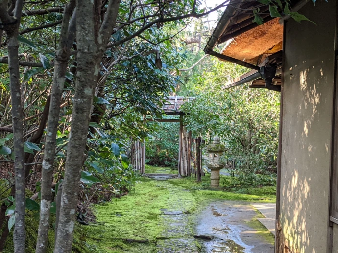 tesuko