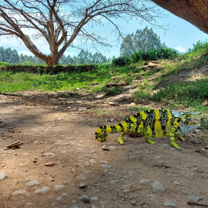 BIODIVERSIDAD
