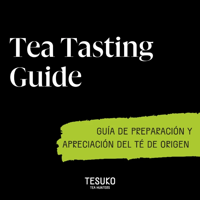 guía para infusionar té
