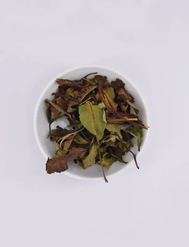 MALAWI WHITE PEONY.webp