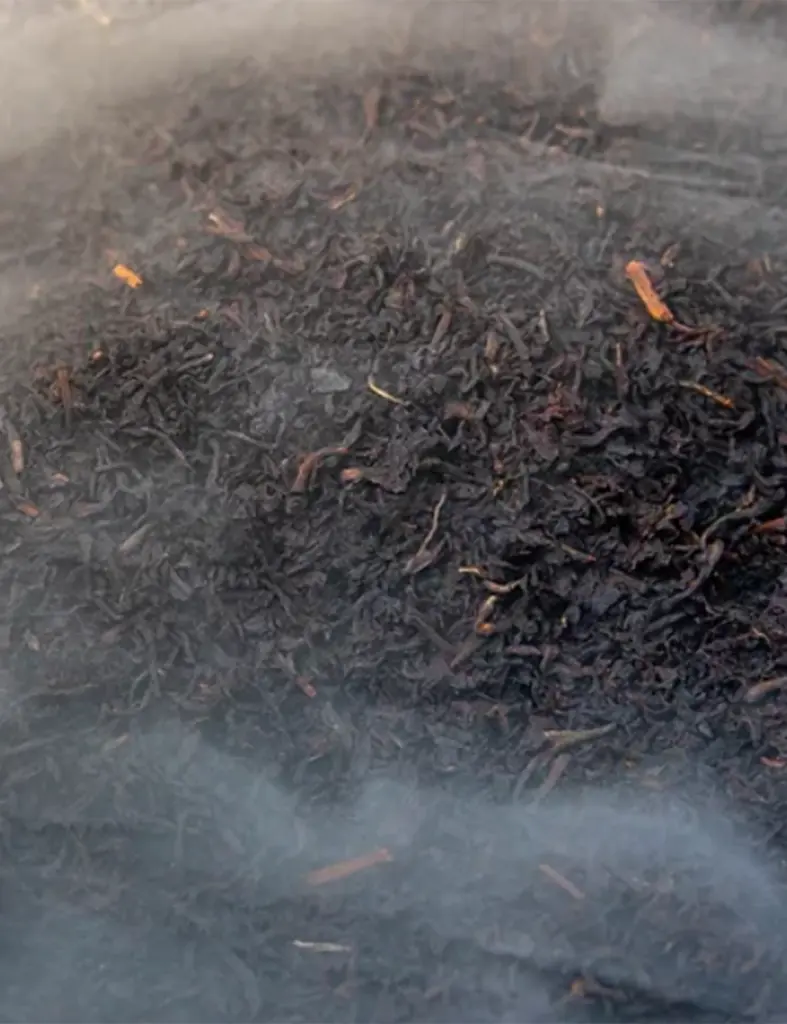 SMOKED GUAVA TEA - HUMO.webp